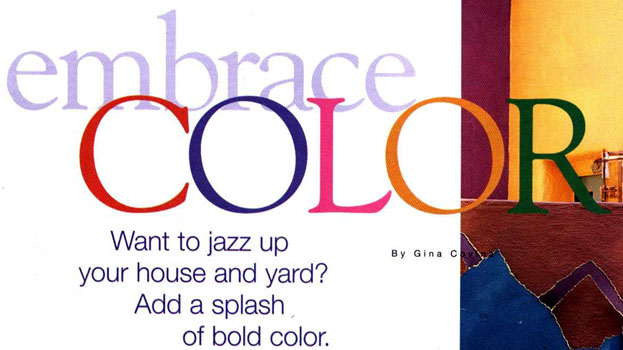 Embrace Color