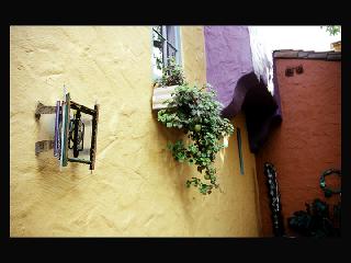 Back Patio light fixture and planter